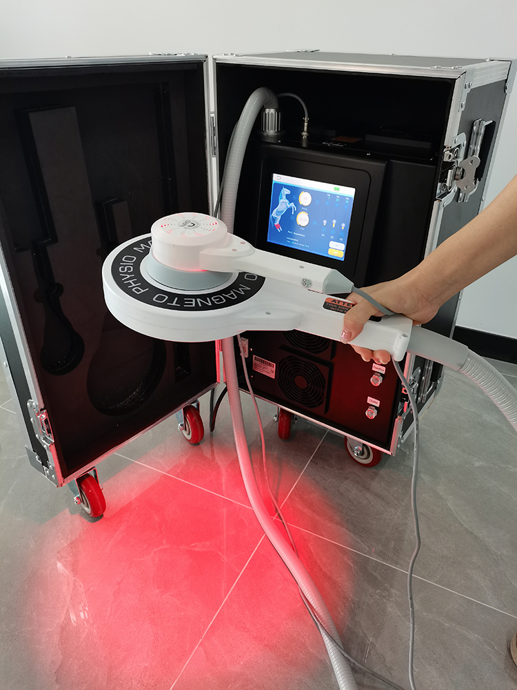 Extrakorporale Magnettherapie Magnetische Pferdebehandlung Pemf Physiotherapie Tierpflegegerät