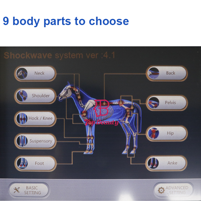 Schockwellen-Tiertherapie Haustier-Gesundheitspflege Schockwelle Tiergesundheitspflege-Produkte Maschine
