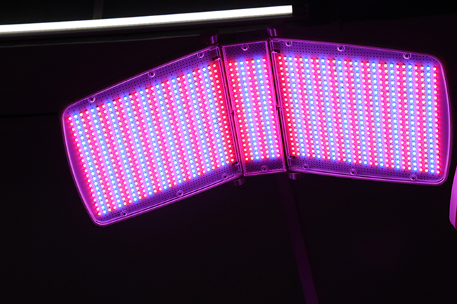 Doppelbehandlung flache PDT-Photonen-Licht-Gesichtstherapie 7 Farben LED-Gesichtstherapie-Schönheitsgerät