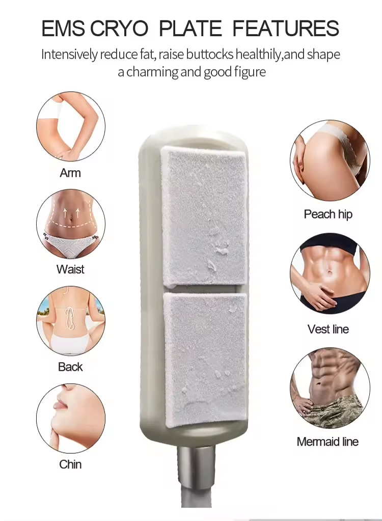 Cryo Ems Pads Therapie Kühlplatten Elektronische Muskelstimulation Körper Schlankheitsformung Sculpting Machine