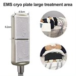 Cryo Ems Pads Therapie Kühlplatten Elektronische Muskelstimulation Körper Schlankheitsformung Sculpting Machine