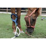 Pemf Vet Magneto-Therapie plus körperliche Rehabilitations-Magnettherapiegerät