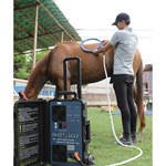 Pemf Vet Magneto-Therapie plus körperliche Rehabilitations-Magnettherapiegerät