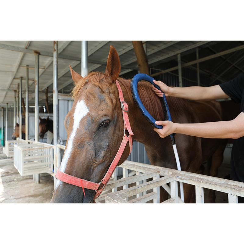 Pemf Vet Magneto-Therapie plus körperliche Rehabilitations-Magnettherapiegerät