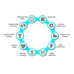 Kryotherapie-Kammer Maschine Physiotherapie Kryosauna Kryotherapie-Gerät