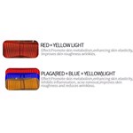 CE Zugelassene Led-Photodynamische Hautverjüngung und Akne-PDT-LED-Lichttherapie-Gesichtsbehandlungsgerät