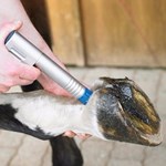 Schockwellen-Tiertherapie Haustier-Gesundheitspflege Schockwelle Tiergesundheitspflege-Produkte Maschine