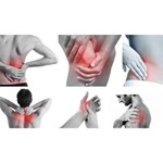 neueste ESWT-Stoßwellentherapie zur Behandlung von Sehnen- und Gelenkschmerzen